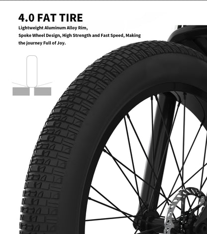 52V All-Terrain E-Bike
