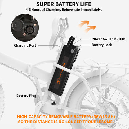 Foldable Fat Tire E-Bike 36V 500W