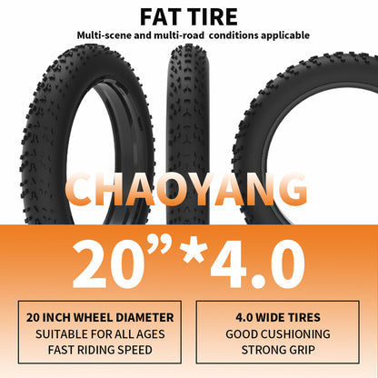 Foldable Fat Tire E-Bike 36V 500W