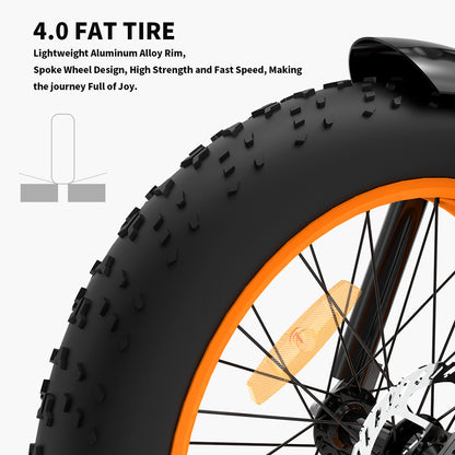 Foldable Fat Tire E-Bike 36V 500W